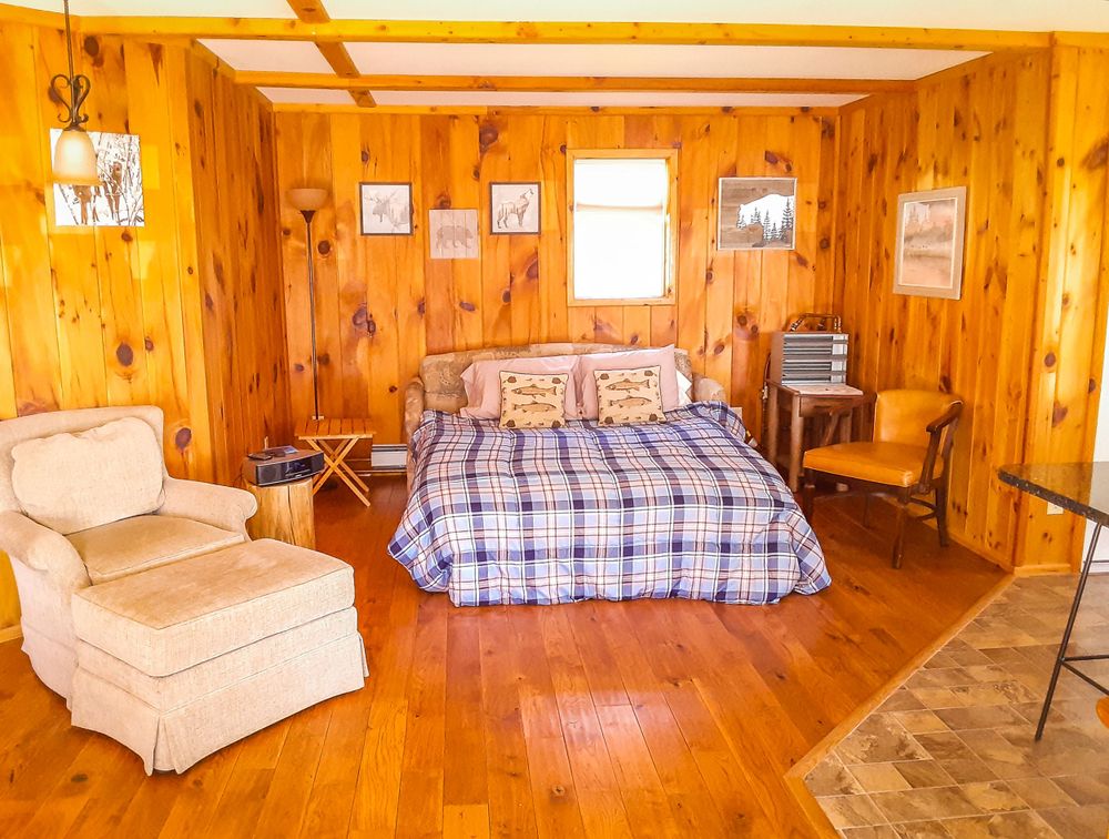 Cozy cabin bedroom with knotty pine walls, plaid bedding, and vintage furniture.