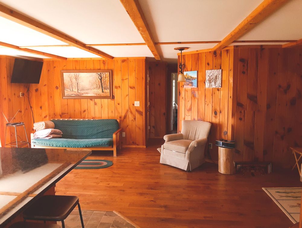 Rustic cabin room featuring wood paneling, green daybed, and beige armchair.