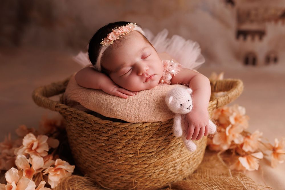 Sleeping newborn in basket with pink flowers and fairy tale castle backdrop.