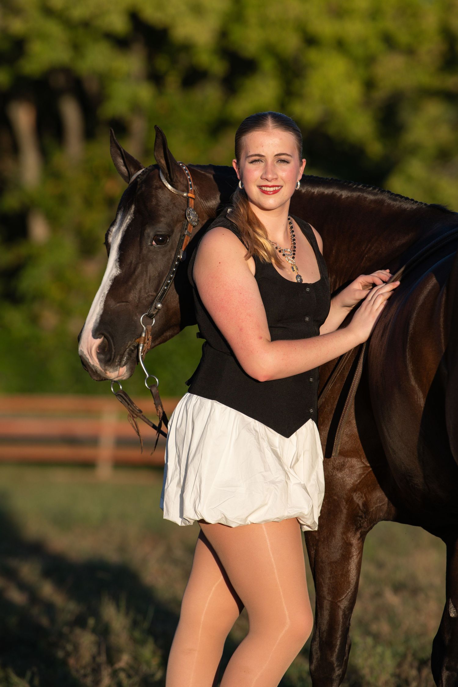 Dark horse with white markings photographed in natural outdoor setting.