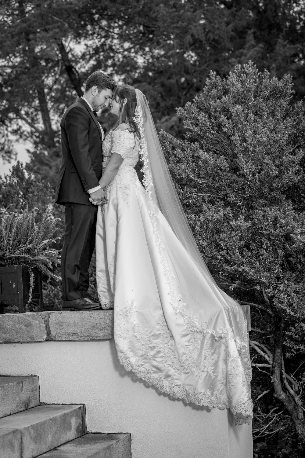 Bride and groom sharing a quiet portrait under the trees after their outdoor wedding ceremony.