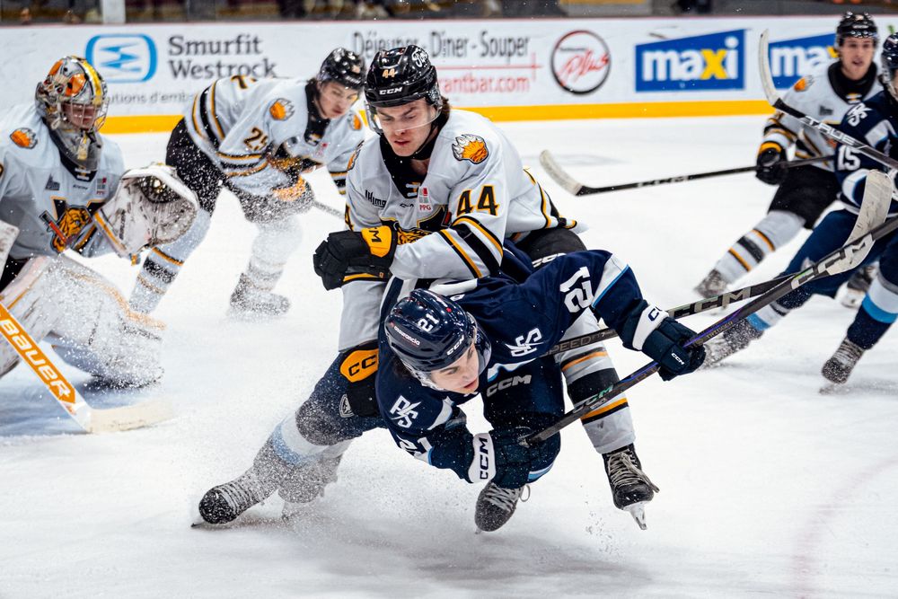 Alex Garneau Photographe Sport Boudoir Victoriaville Québec Studio Tigres de Victoriaville