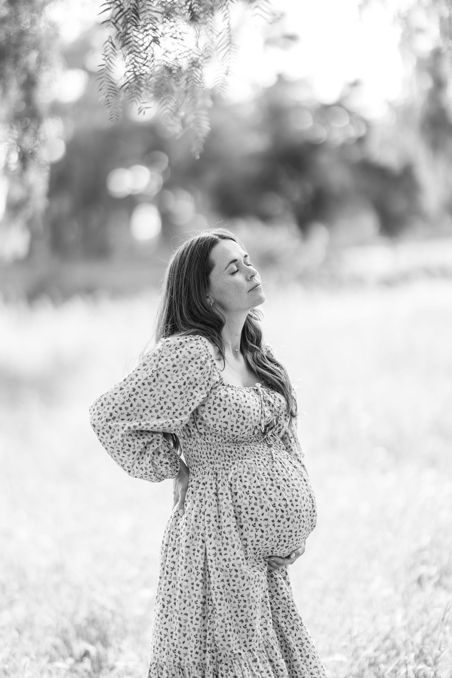 Serene black and white maternity portrait under willow trees.