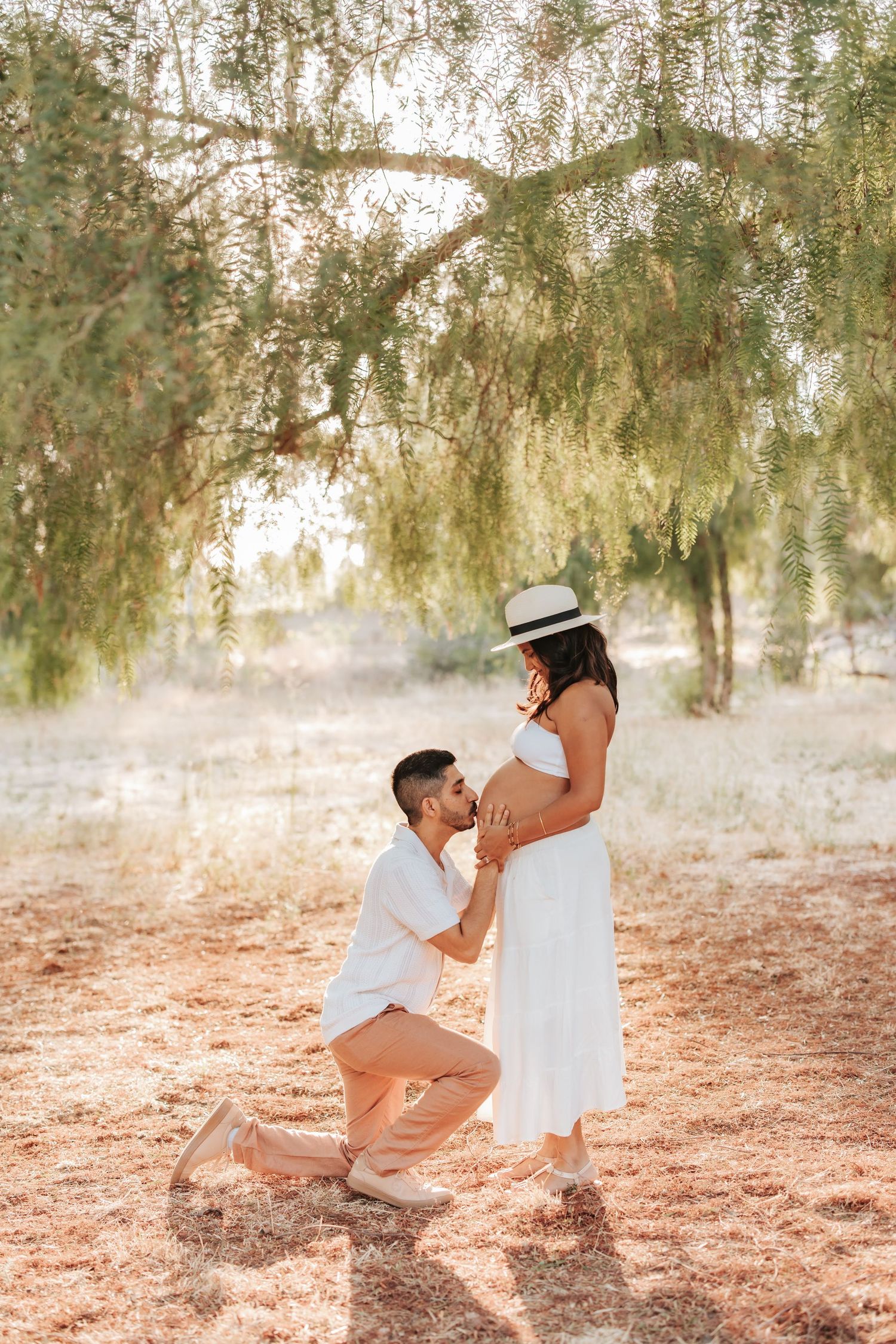 A romantic marriage proposal takes place under a willow tree with golden sunlight filtering through the branches.