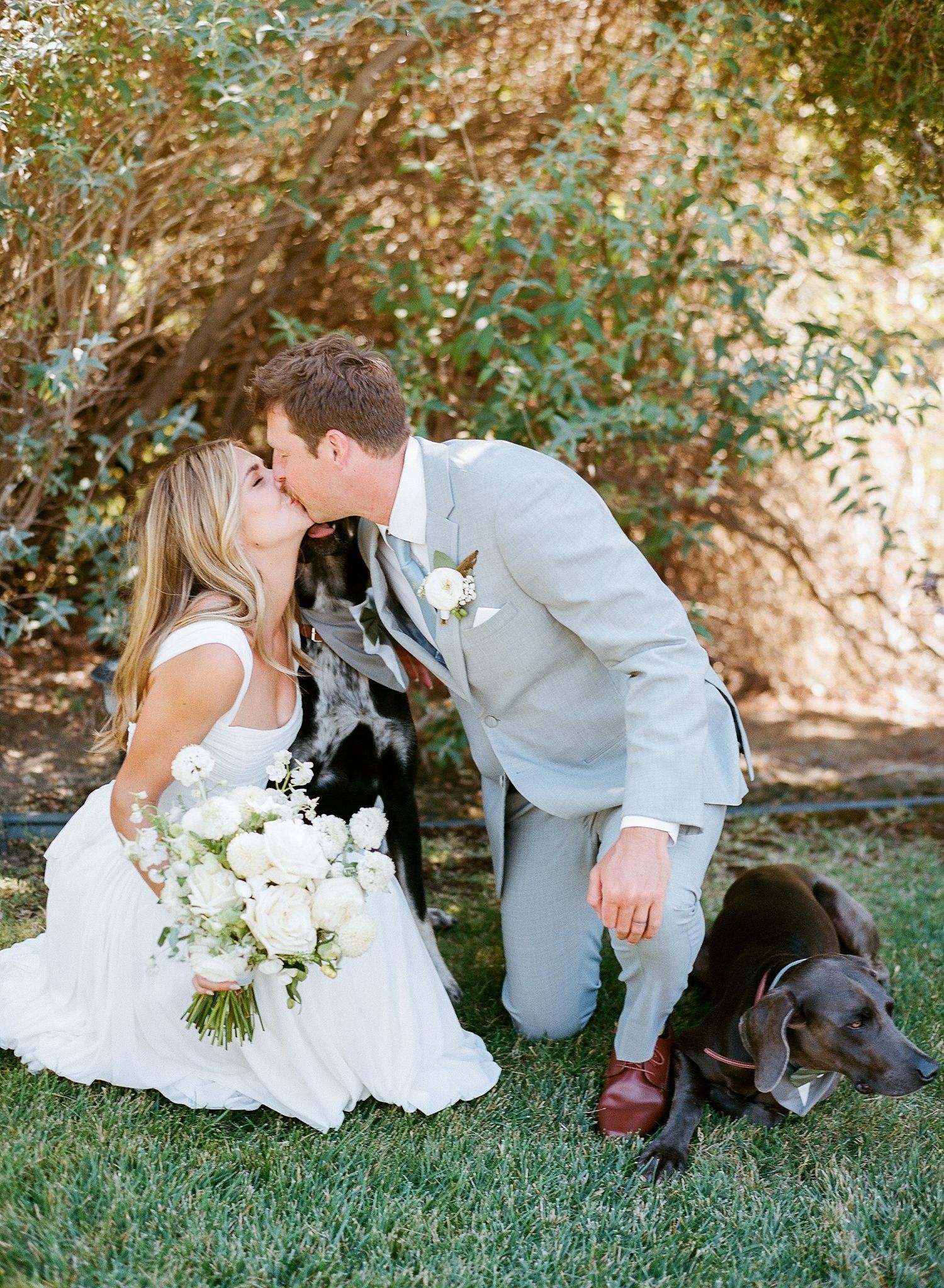 white barn edna valley wedding san luis obispo california