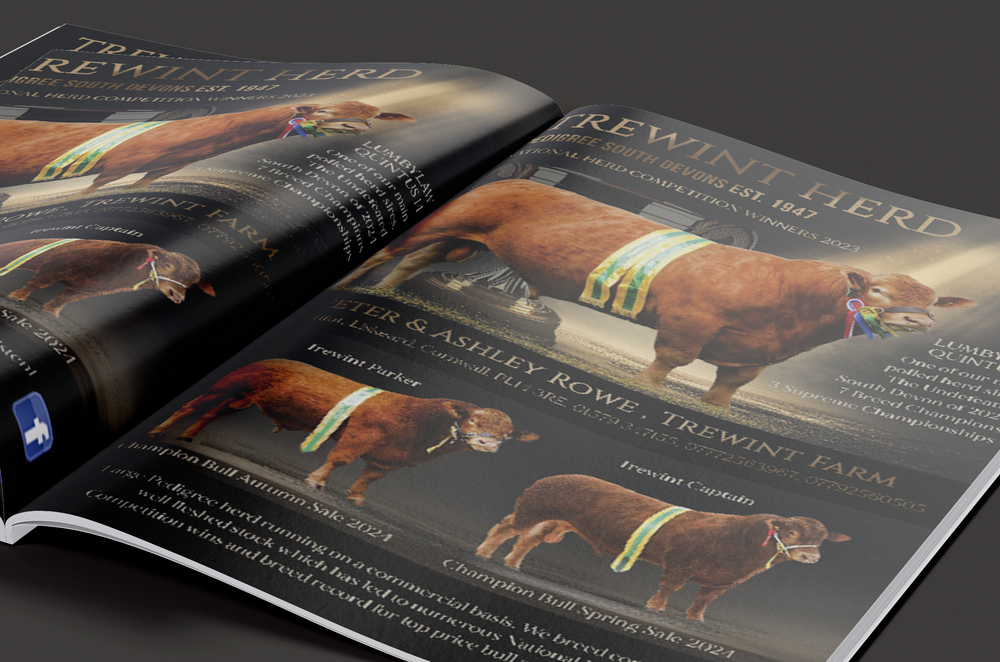 Journal adverts