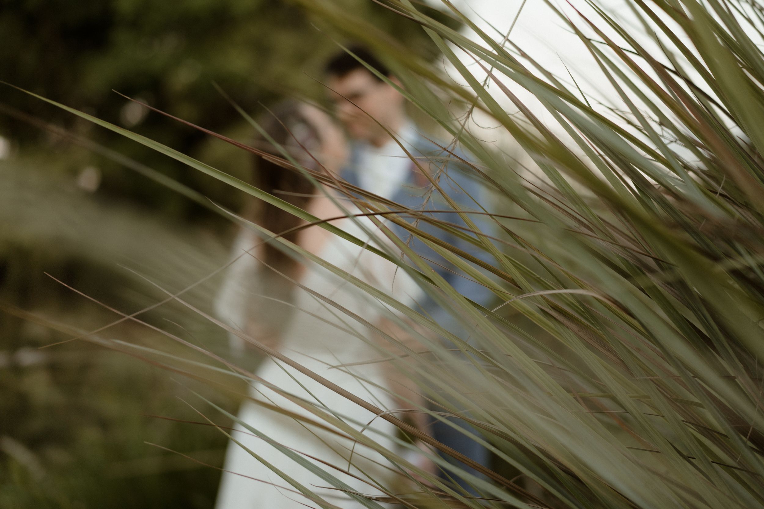 Artistic blurred shot of couple through beach grass and reeds.
