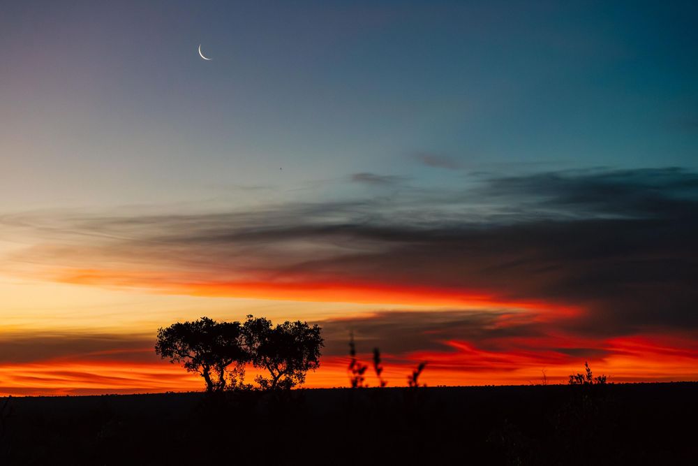 Dramatic sunset sky with crescent moon and silhouetted trees on the horizon.