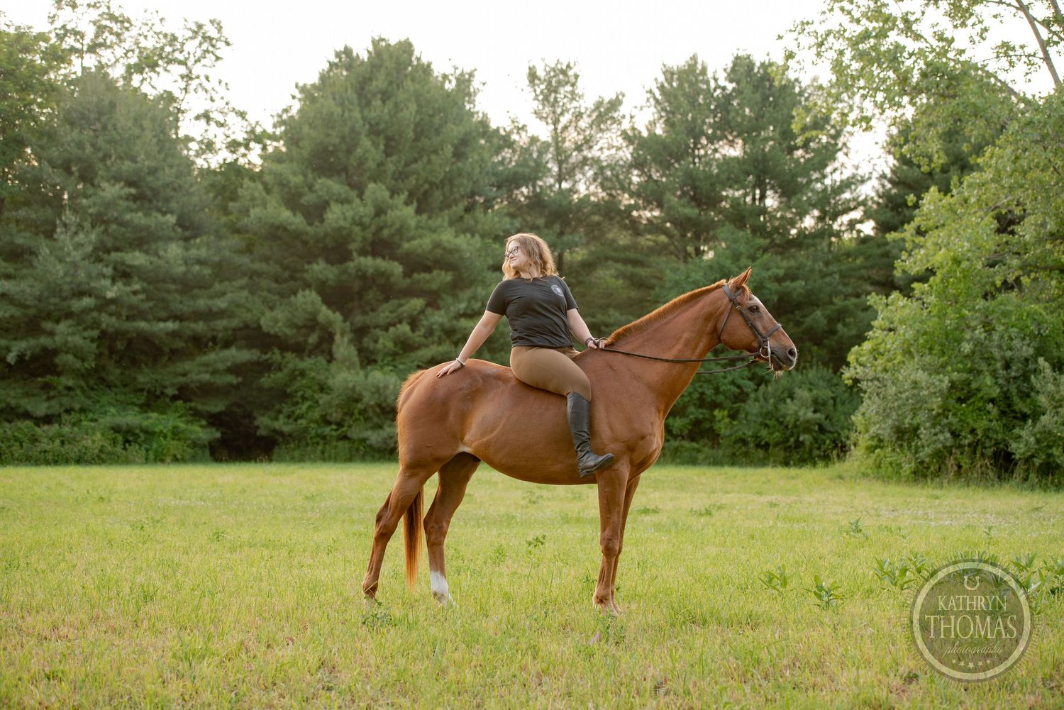 A chestnut horse with rider poses in a green field with evergreen trees in the background.