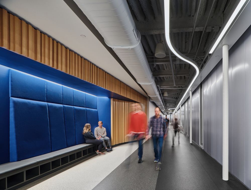 Modern office corridor with blue upholstered bench seating and wood paneling features sleek lighting and minimalist design.