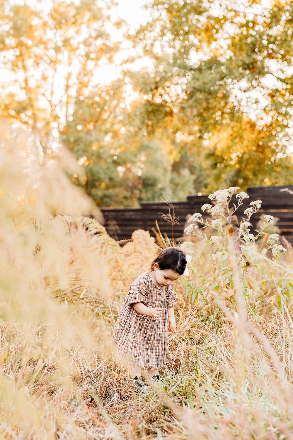 Photographer captures dreamy autumn scene in tall golden grass during sunset with warm glowing light.