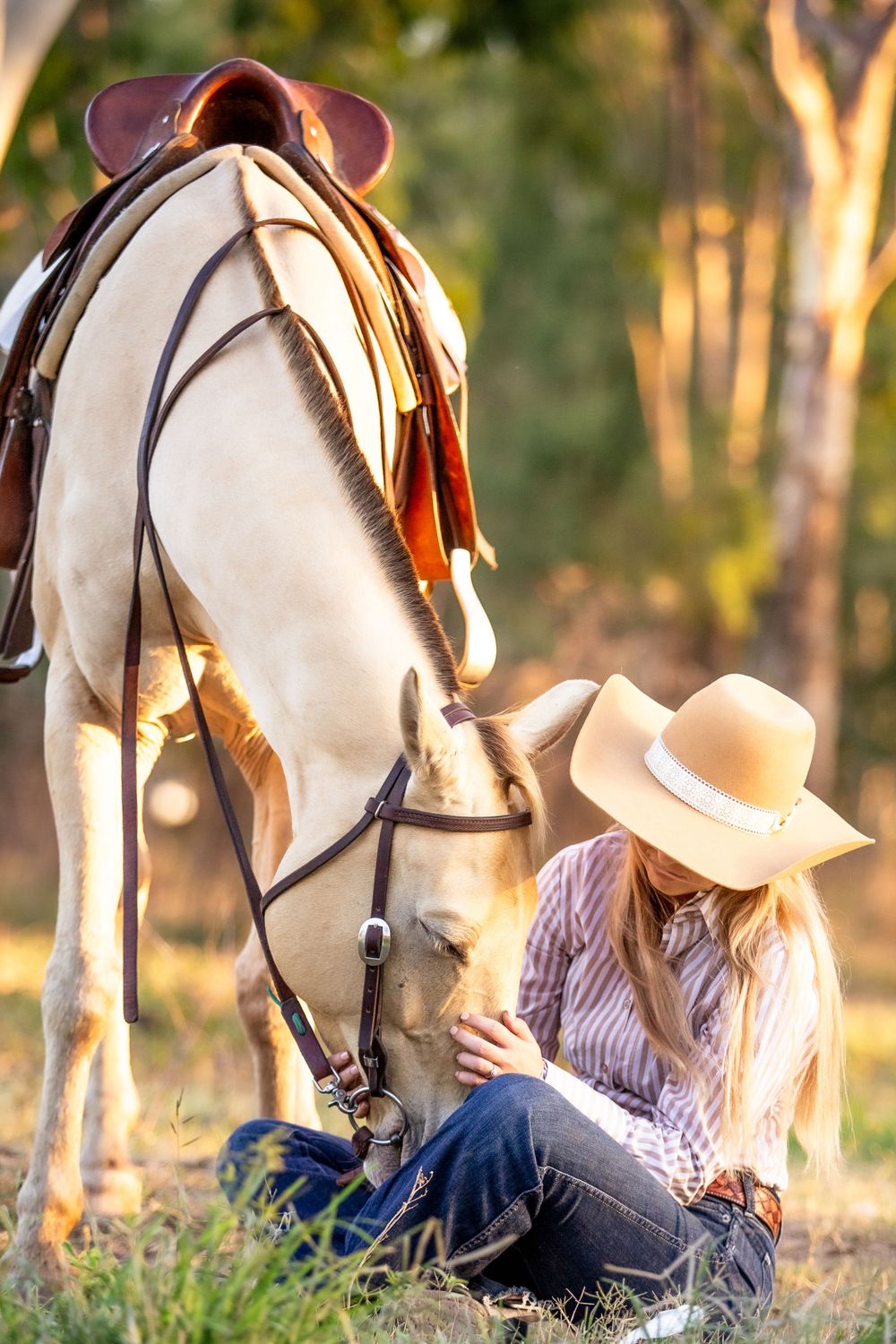 A pastoral scene with a white horse and rider in cowboy attire resting in golden sunlit grass.