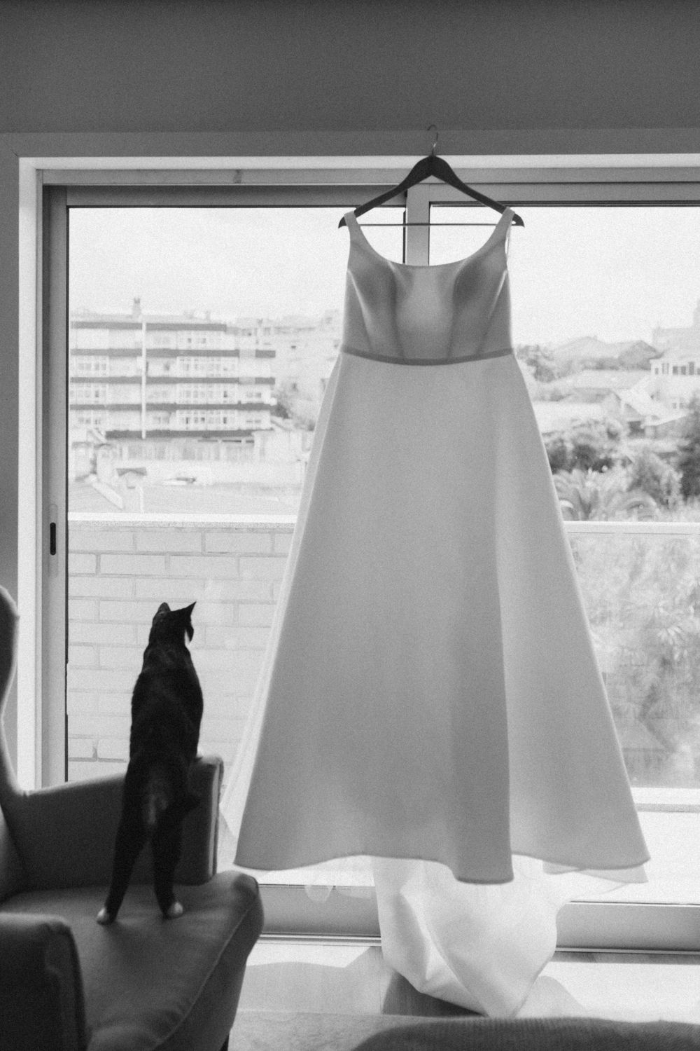 A black cat sits on a couch near a white wedding dress hanging in front of a bright window.