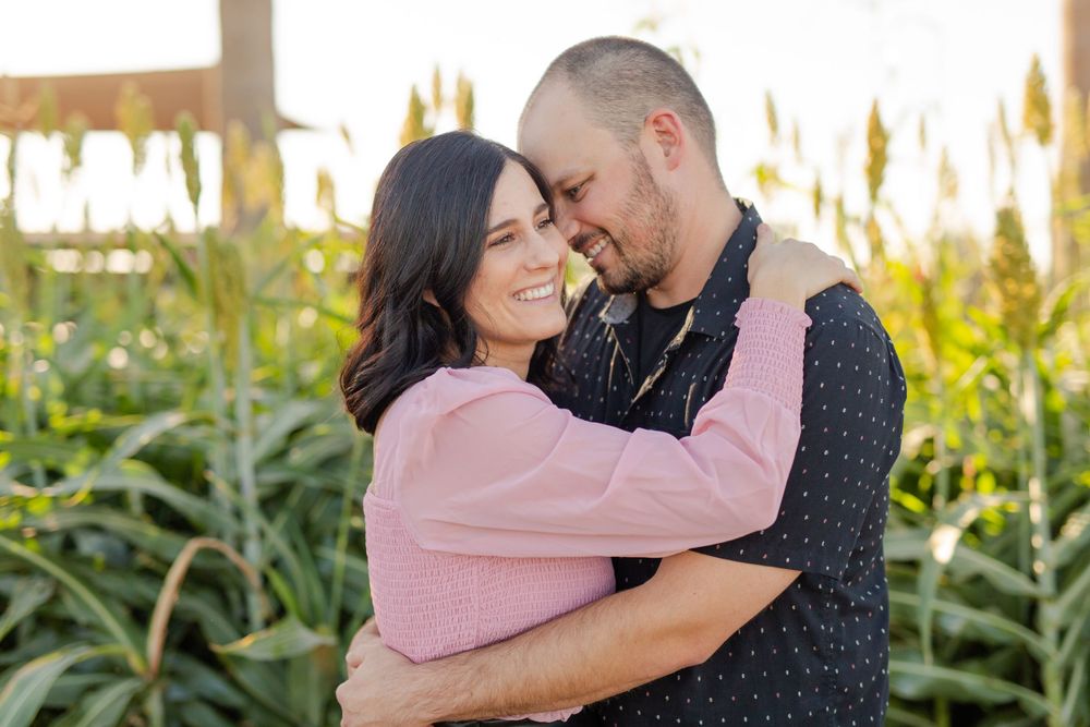 Romantic couple embrace in soft lighting with sunflowers and cornfield in background.