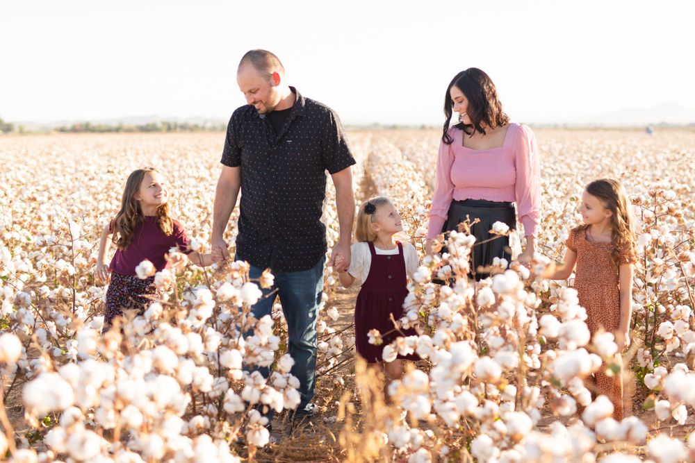 A family walks together through a beautiful cotton field at sunset.