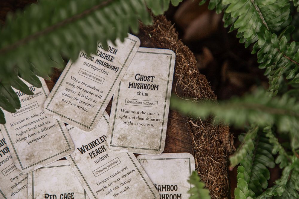 Scattered wedding RSVP cards lay among green fern leaves and brown bark in a rustic outdoor setting.