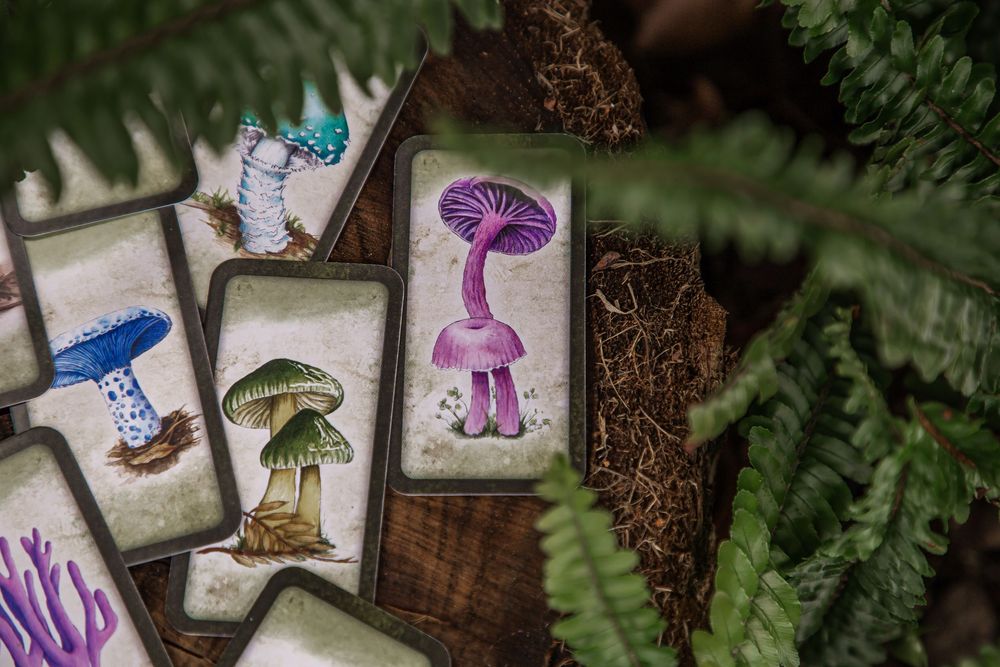Watercolor mushroom illustrations arranged with ferns and natural elements in a mystical woodland composition.