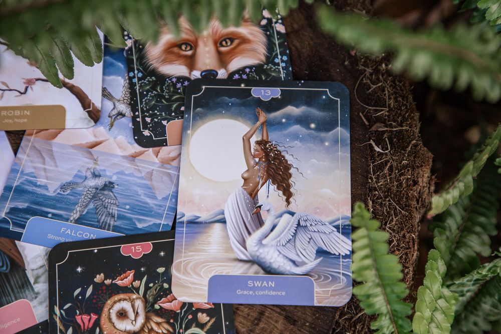 A collection of photo albums and scrapbooks arranged among lush green ferns and natural decor.