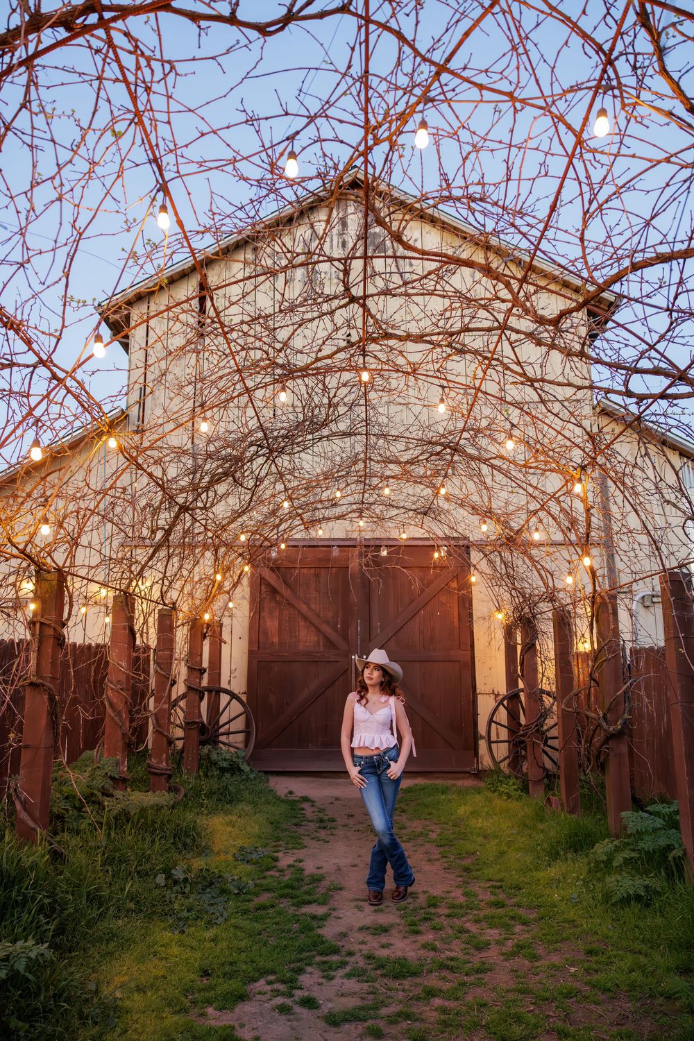 Cherry blossom trees frame a rustic brown wooden barn with wagon wheels in a backyard setting at sunset.