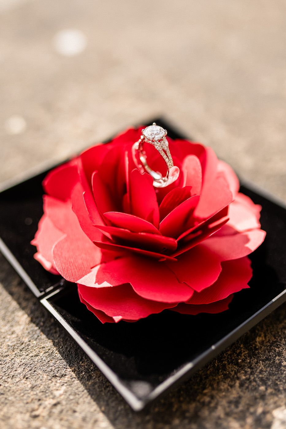 A sequence of four photos showing a red paper rose with an engagement ring nestled in its center on a black surface.
