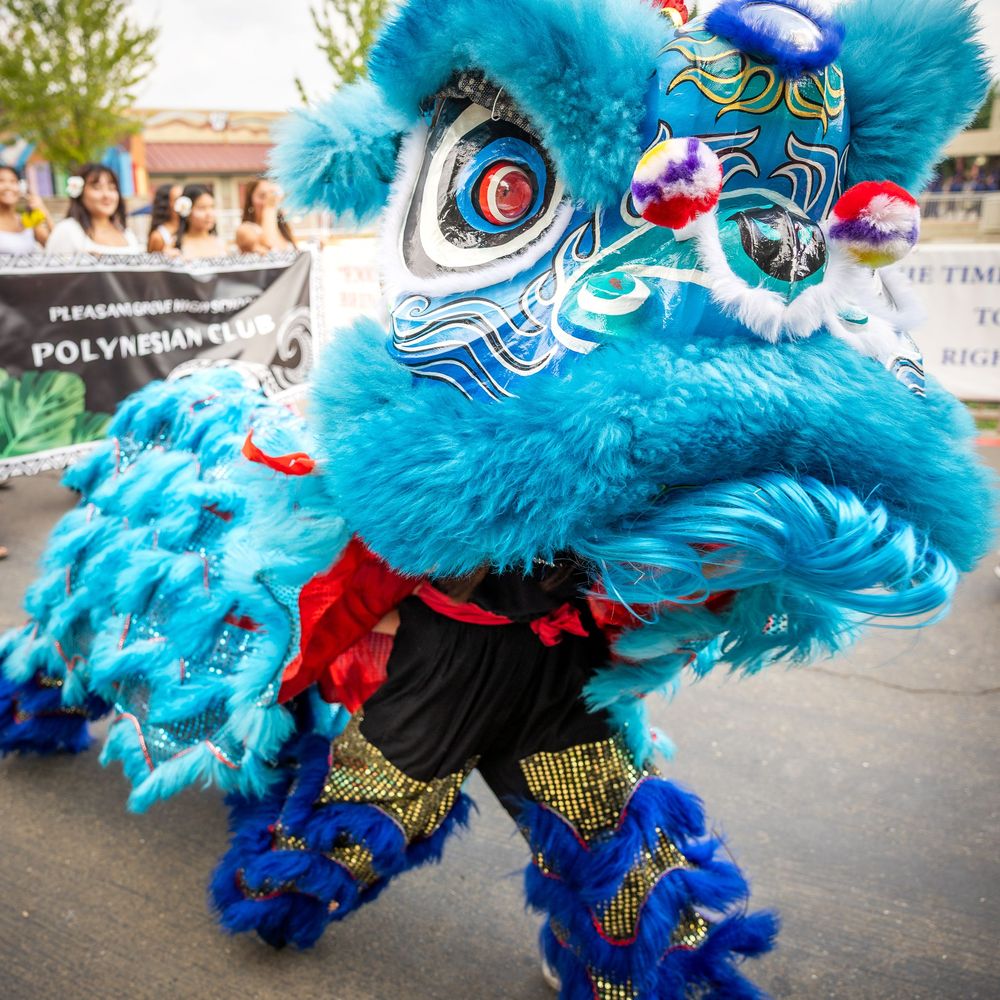 Vibrant blue and red Chinese lion dance costume performing traditional movements at an outdoor cultural festival.