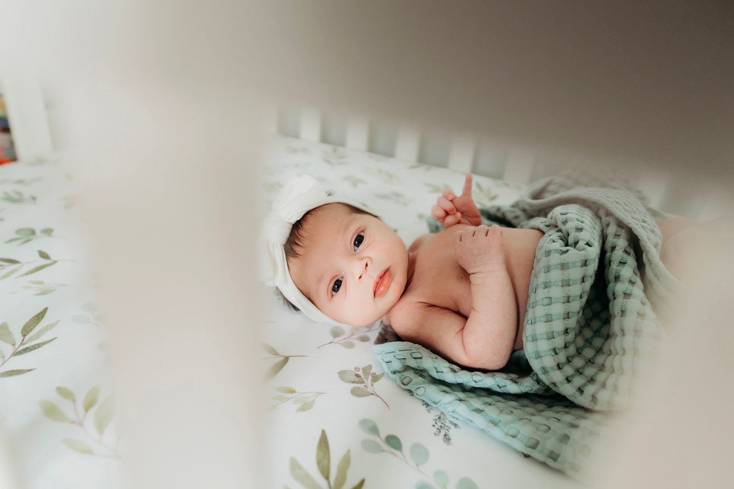 Ann Arbor Newborn Photographer