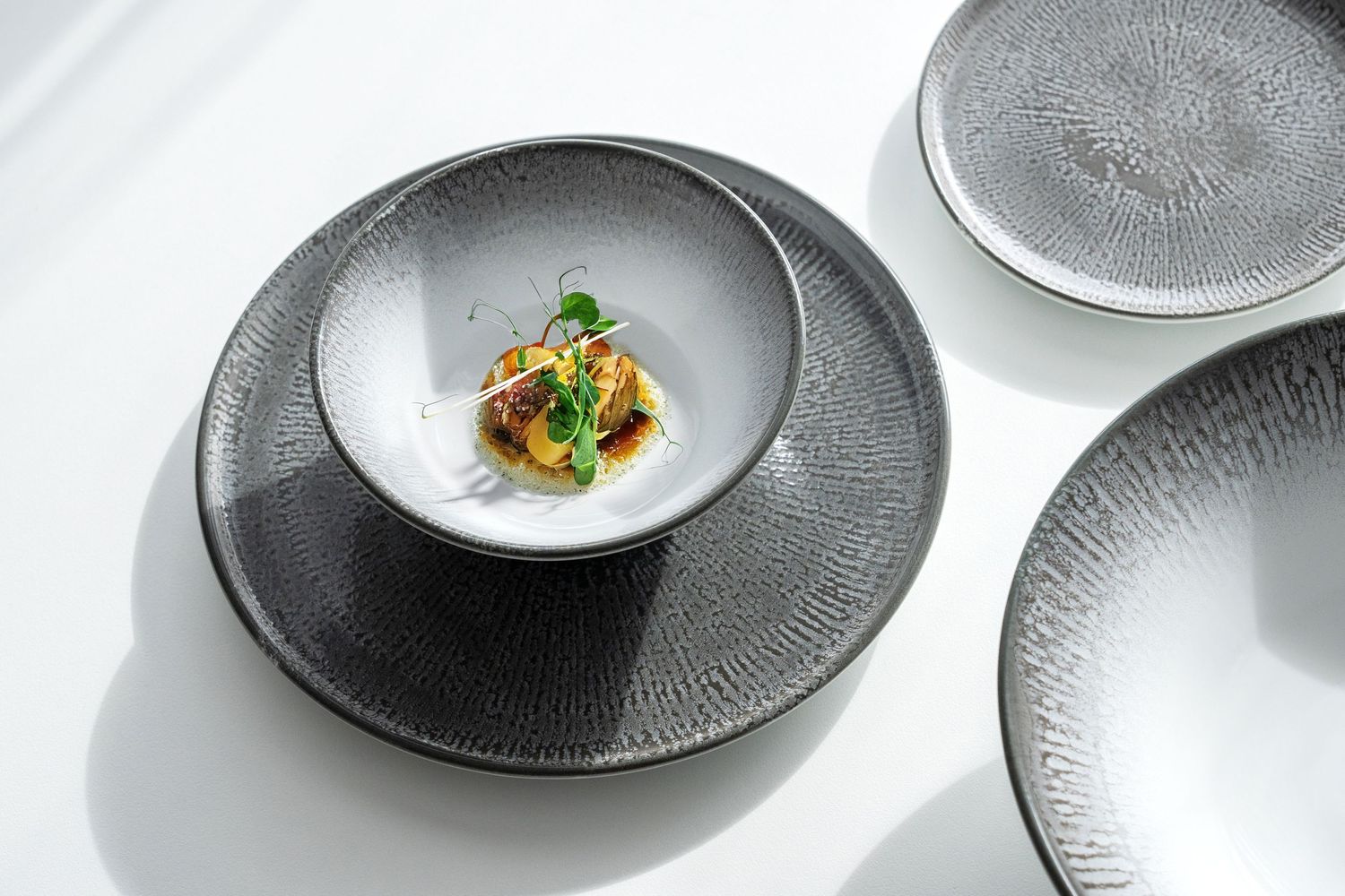 Shell collection: Porcelain plates and bowls with digitally printed radial patterns in shades of blue, brown, and grey.