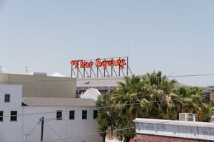 Rooftop view of The Sands neon sign above palm trees and white buildings against a clear sky.