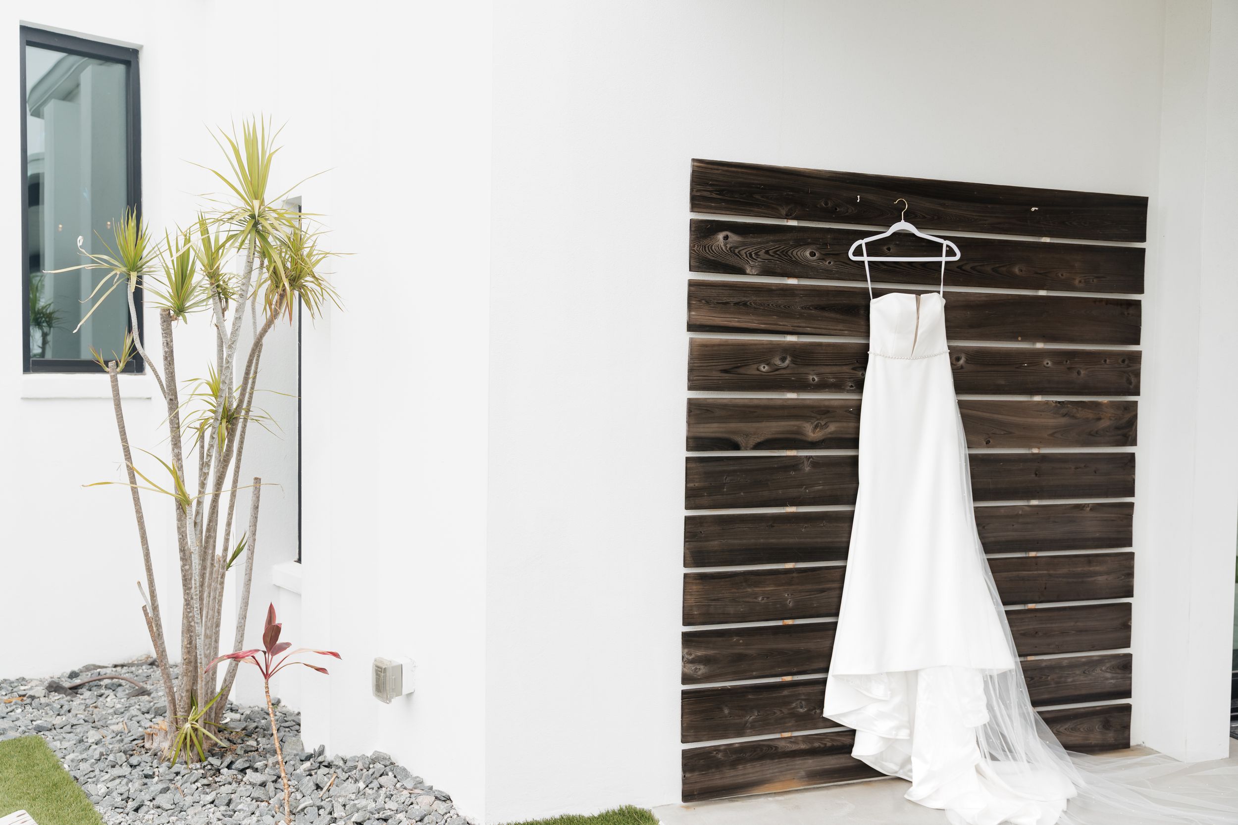 A wedding dress is displayed against a white wall with tropical plants creating an elegant bridal boutique setting.