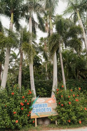 Tall royal palm trees tower over a 'Summer Gardens' sign surrounded by blooming red flowers and lush greenery.