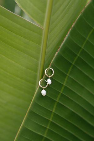 Silver pearl drop earrings displayed on a green tropical banana leaf in natural lighting.