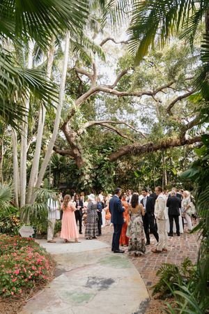Wedding guests gather on a winding garden path surrounded by lush palm trees and tropical foliage in an outdoor venue.