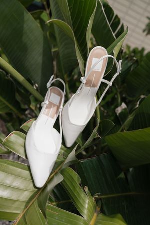 White slingback kitten heels with pointed toes displayed on green tropical leaves.