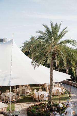Elegant white stretch tent with round reception tables set up outdoors among tall tropical palm trees.
