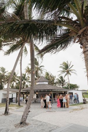 Wedding guests mingling at a tropical beachside pavilion venue surrounded by tall swaying palm trees.