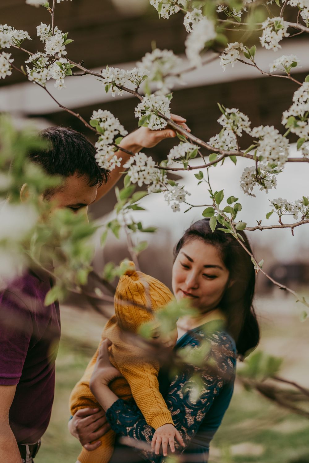 mom holding baby reaching for tree blossoms, documentary, Whitney Popp, photographer