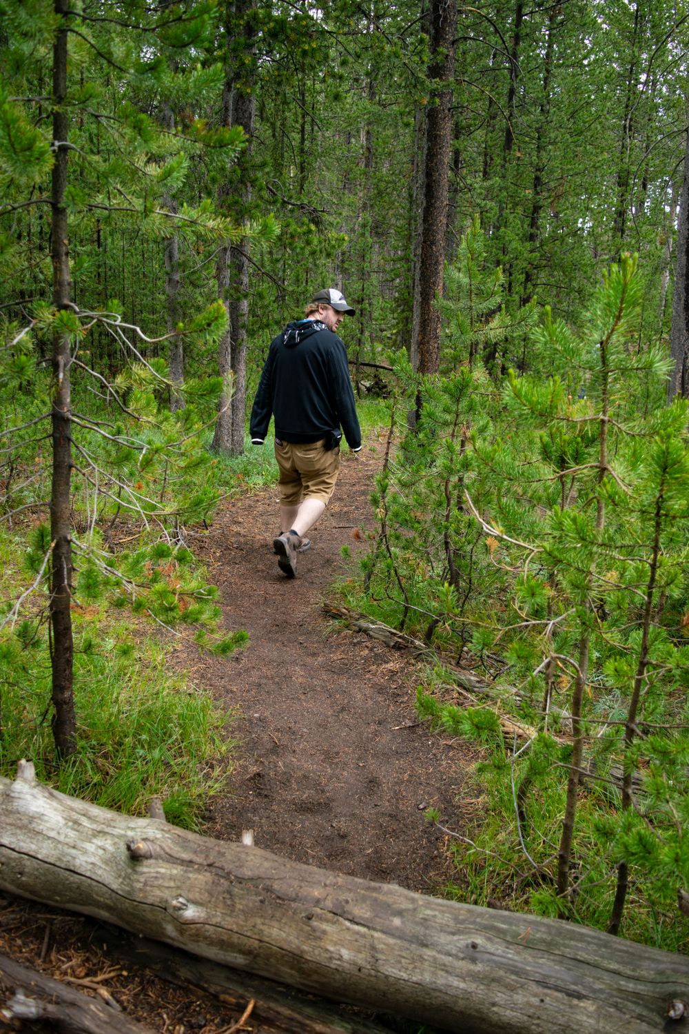 A winding dirt path leads through a dense forest as a hiker explores the trail.