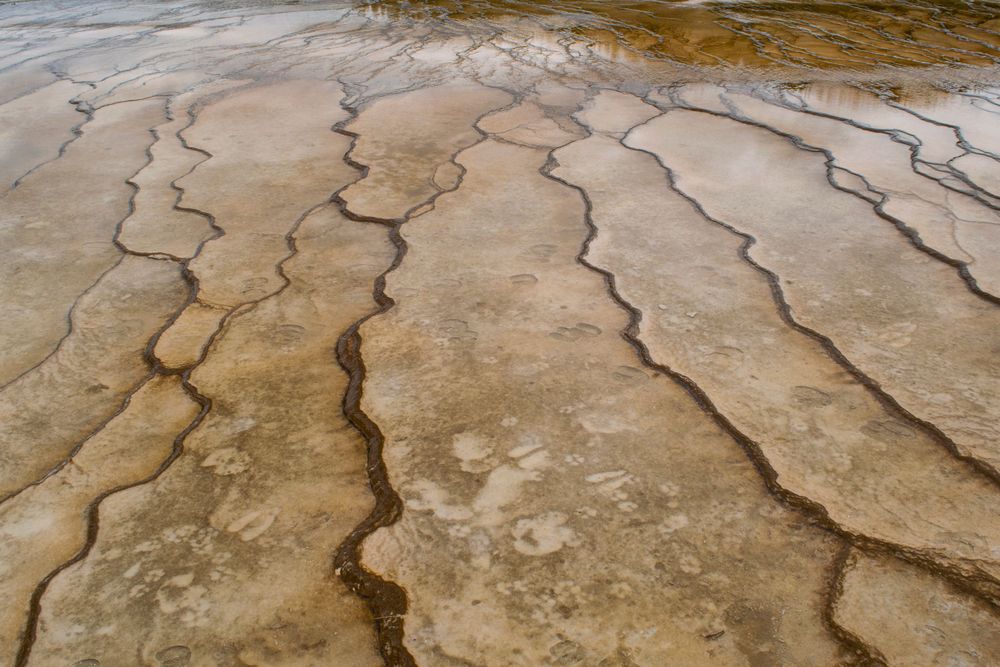 Abstract patterns of mineral deposits form geometric lines and terraces in thermal area.