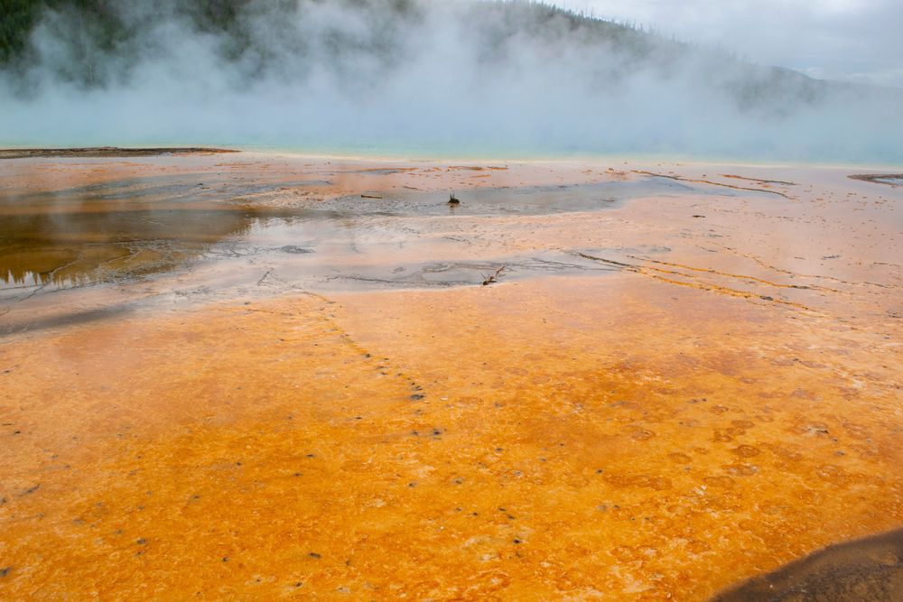 Orange bacterial mats and thermal features spread across geothermal landscape.