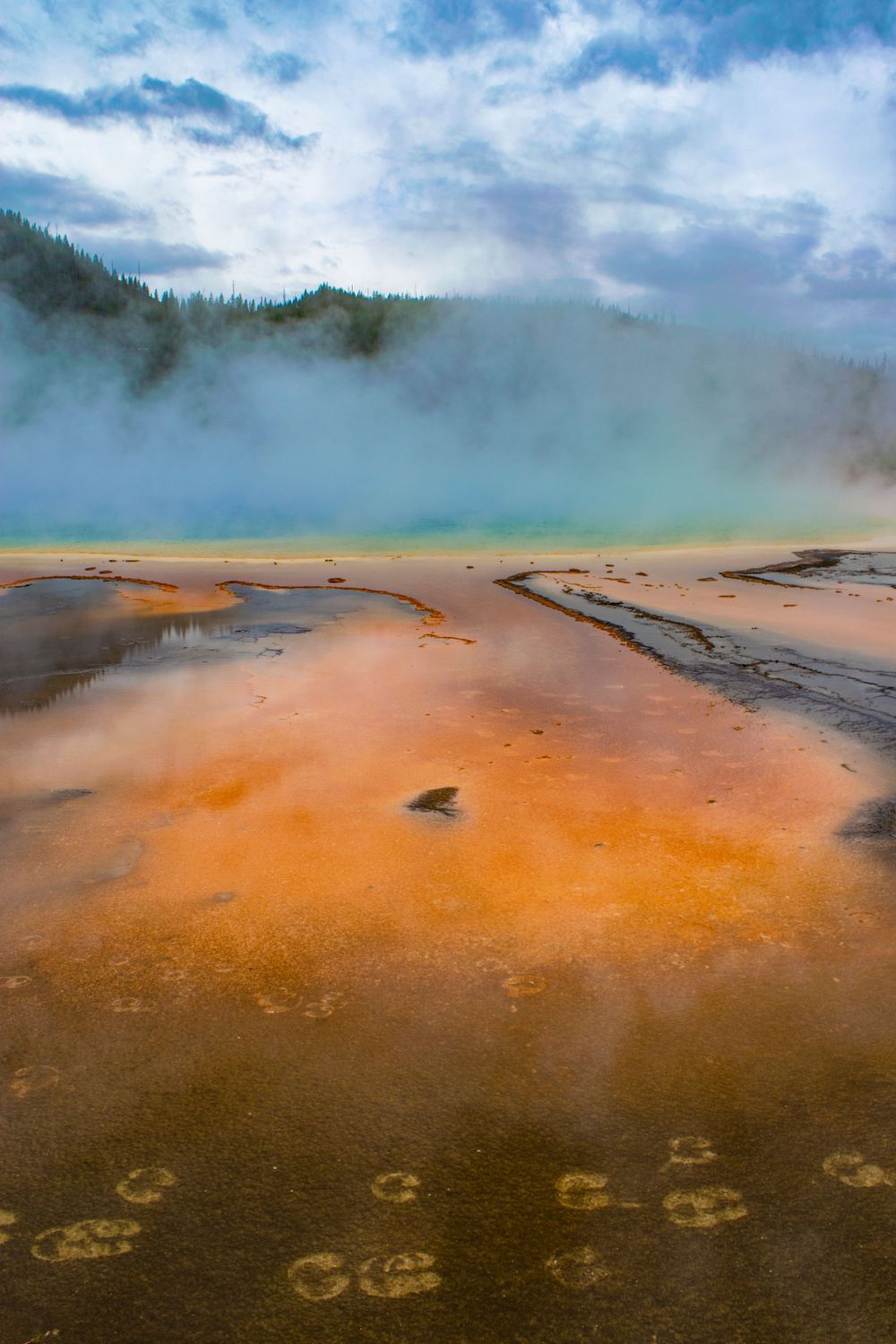 Vibrant orange and blue thermal pool with rising steam and bacterial mats in Yellowstone.