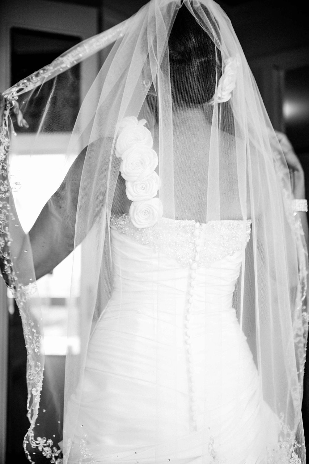 A bridal gown with lace veil shown from behind, highlighting the delicate details in black and white.