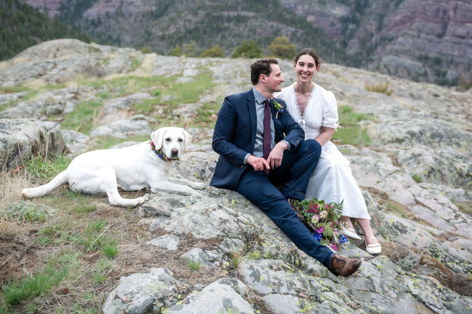 A bride and groom sit on rocky mountain terrain with a white Labrador dog during an outdoor elopement wedding photo.