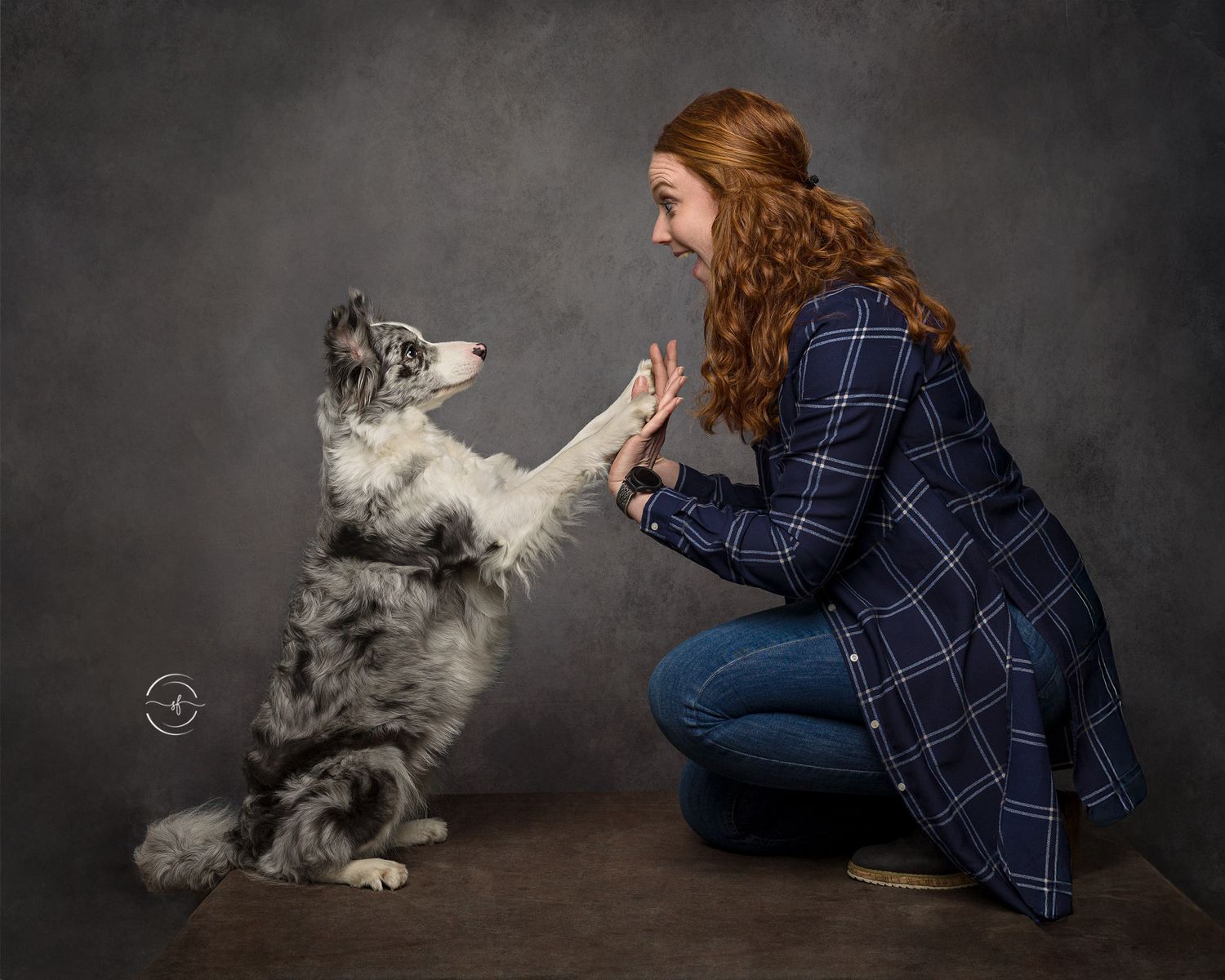 Dog performing tricks and interacting with trainer against dark backdrop.