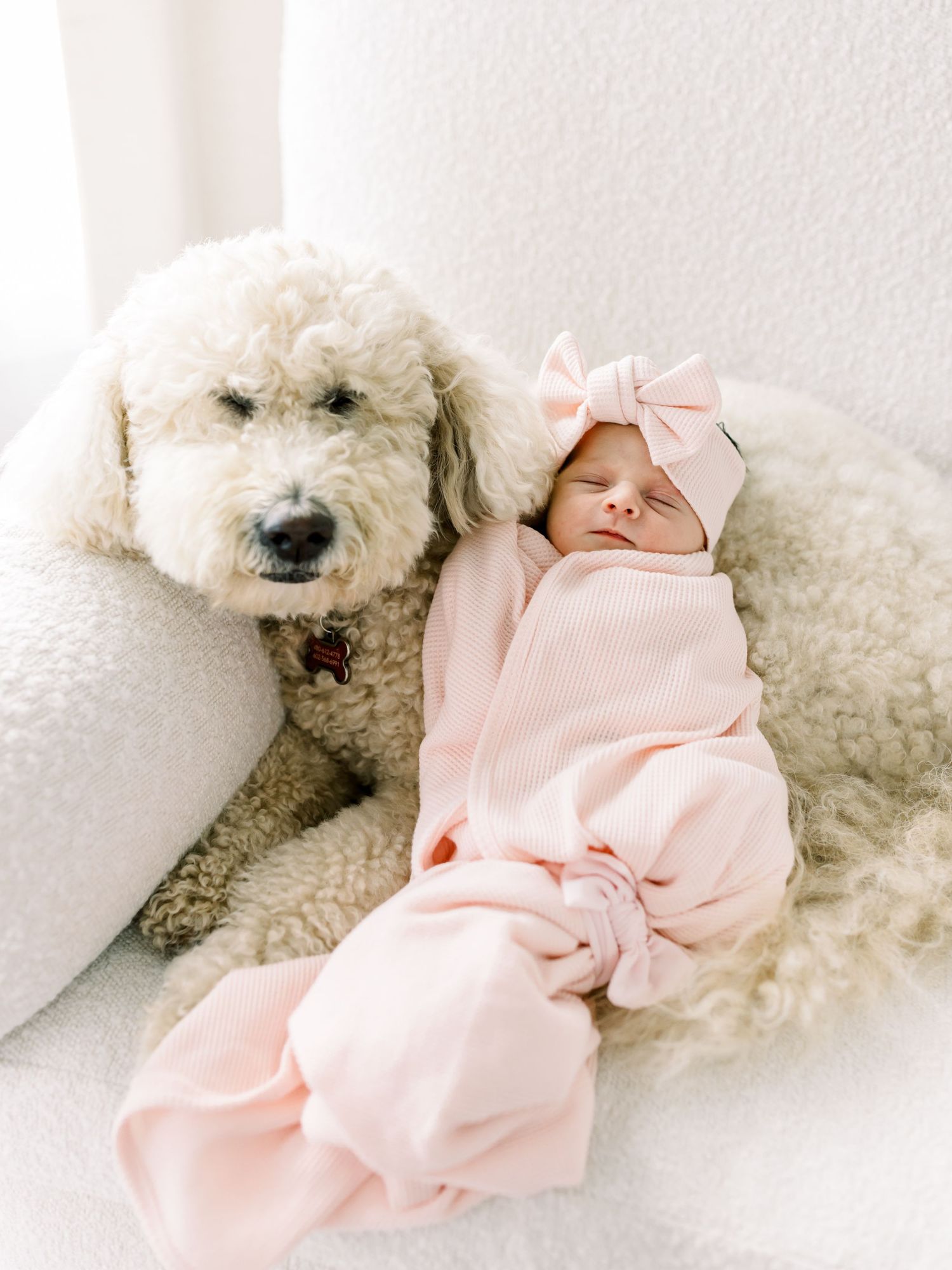Baby in pink swaddle sleeping peacefully next to fluffy white dog.