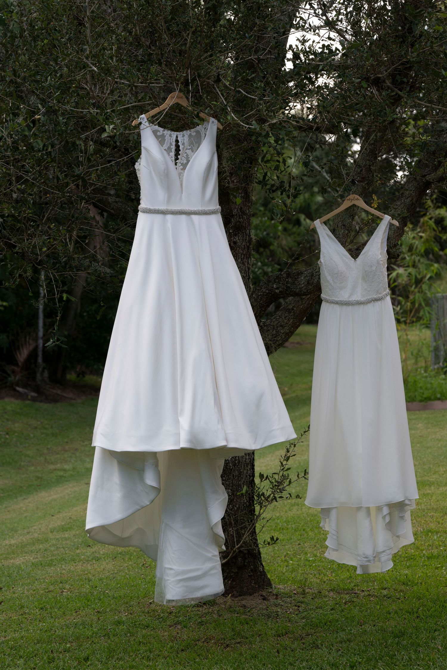 Two elegant white wedding dresses hanging from a tree branch in a garden setting.