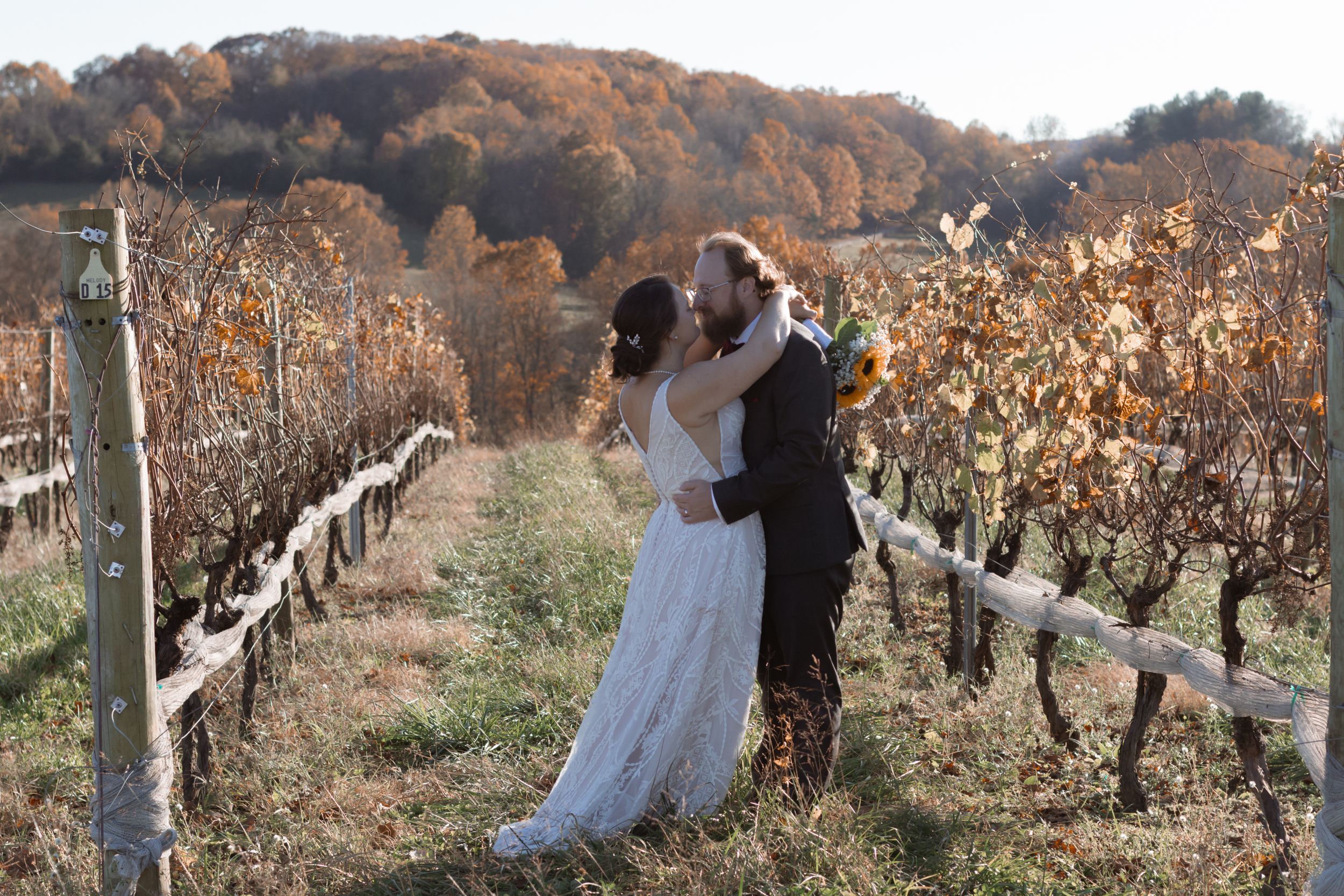 Wedding couple shares intimate moment in autumn vineyard with sunflowers and warm lighting.