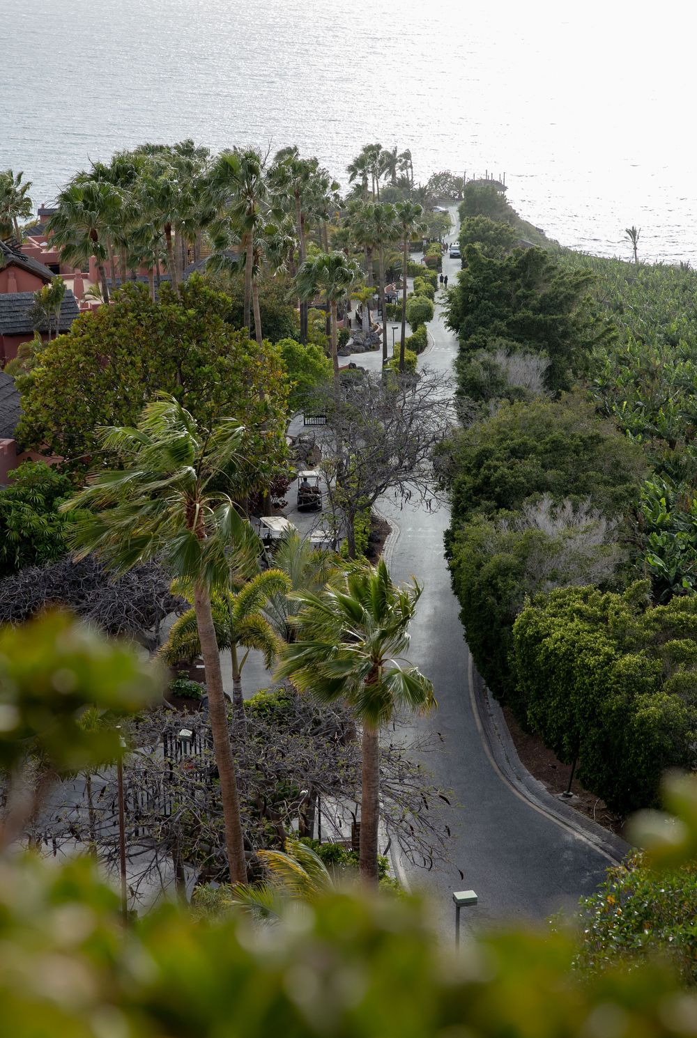 Aerial view of a palm tree-lined coastal road with lush greenery and ocean views on a cloudy day.