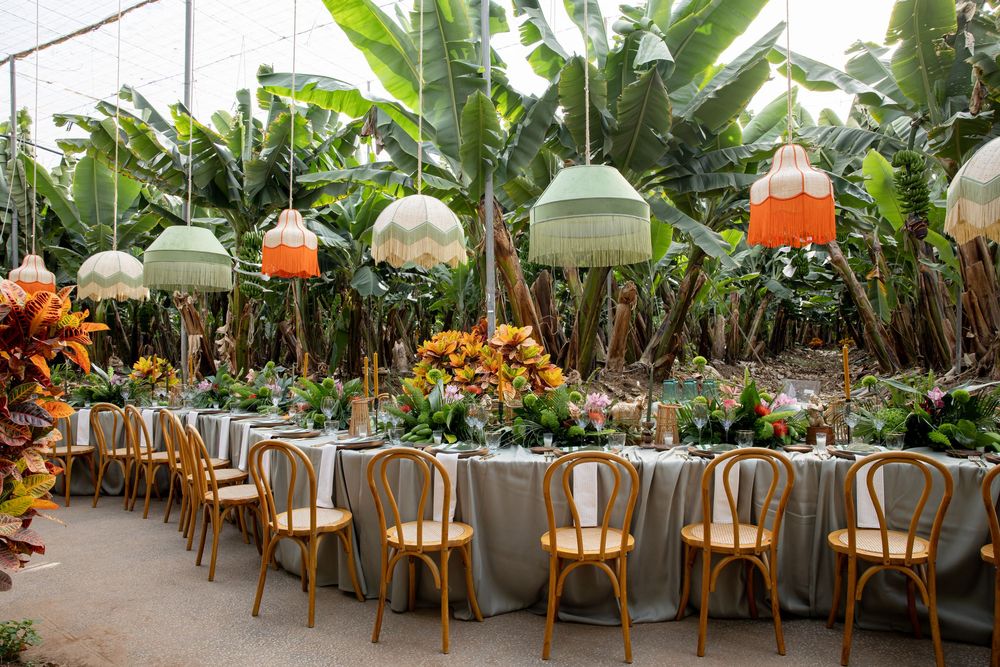Tropical greenhouse wedding reception with hanging lanterns, wooden chairs, and lush banana trees framing an elegant floral table setting.