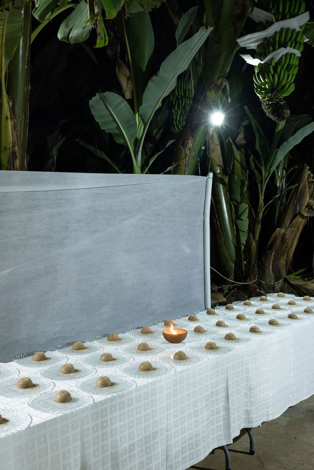 Outdoor buffet table with small bread rolls and a candle, set against tropical banana plants at night.