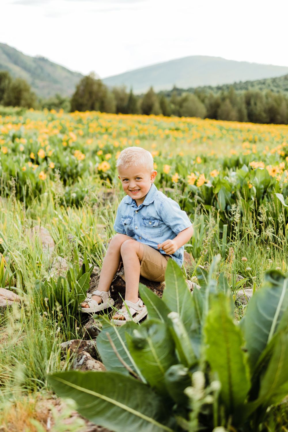 Northern Utah Mountain Field Family Photos